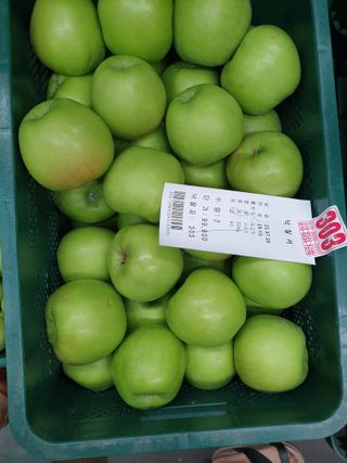 알 수 없음님의 내 농사 경력 자랑하기 · 참여 작성글 사진