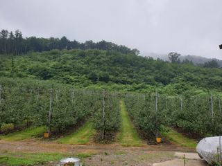 알 수 없음님의 내 농사 경력 자랑하기 · 참여 작성글 사진