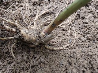 김봉호님의 작성글 사진