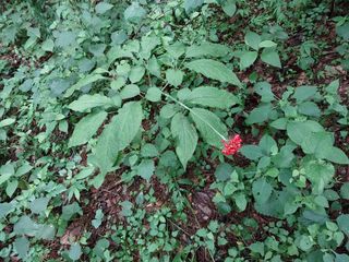 김봉호님의 작성글 사진