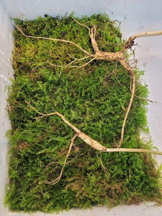 김봉호님의 작성글 사진