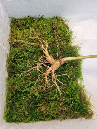 김봉호님의 작성글 사진