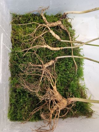 김봉호님의 작성글 사진