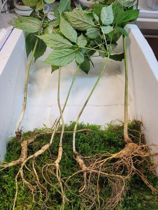 김봉호님의 작성글 사진