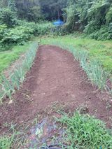 팜모닝 내 농사 경력 자랑하기·참여 게시글 이미지