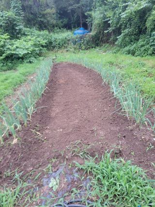 이세순님의 내 농사 경력 자랑하기 · 참여 작성글 사진
