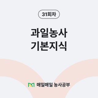 팜모닝 농사공부님의 매일매일 농사공부 · 매일매일 농사공부 작성글 사진