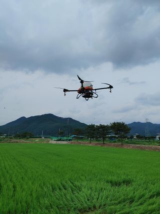 윤재하님의 내 농사 경력 자랑하기 · 참여 작성글 사진