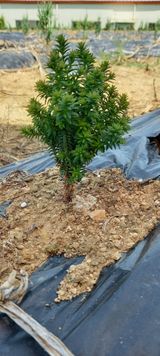 팜모닝 내 농사 경력 자랑하기·참여 게시글 이미지