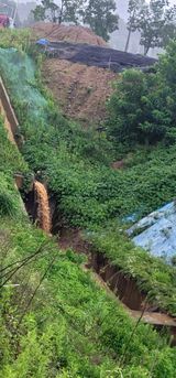 팜모닝 내 농사 경력 자랑하기·참여 게시글 이미지