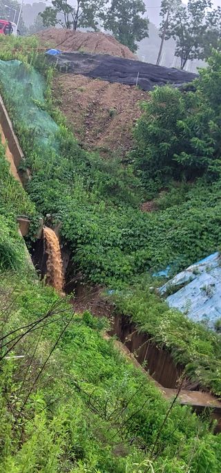 와일드에니멀님의 내 농사 경력 자랑하기 · 참여 작성글 사진