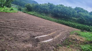 가루개님의 내 농사 경력 자랑하기 · 참여 작성글 사진