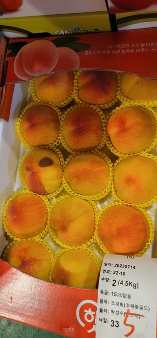 박경희님의 복숭아 · 자유게시판 작성글 사진