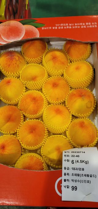 박경희님의 복숭아 · 자유게시판 작성글 사진