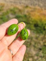 팜모닝 기타작물·병해충상담 게시글 이미지