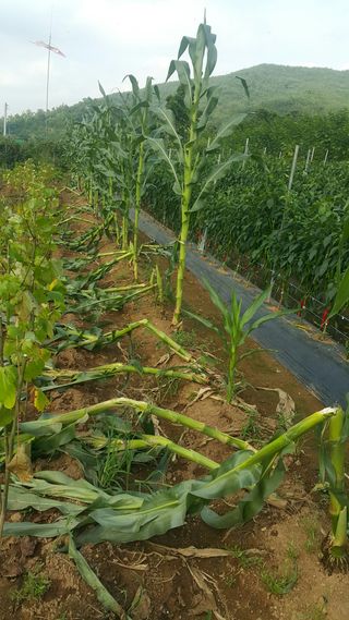 오늘 이순간님의 자유주제 · 자유게시판 작성글 사진