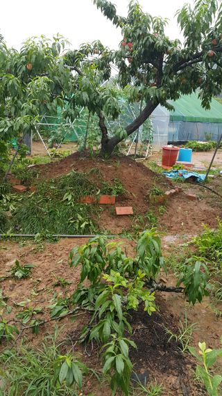 오늘 이순간님의 자유주제 · 자유게시판 작성글 사진