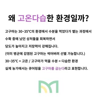 알 수 없음님의 팜모닝공식 · 농사정보 작성글 사진