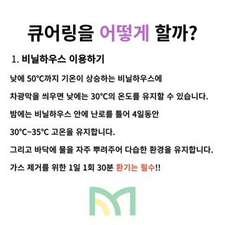 알 수 없음님의 팜모닝공식 · 농사정보 작성글 사진