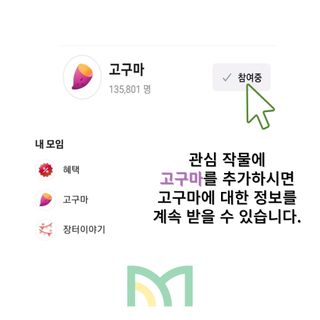 알 수 없음님의 팜모닝공식 · 농사정보 작성글 사진