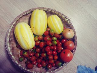 김홍환님의 내 농사 경력 자랑하기 · 참여 작성글 사진