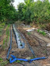 팜모닝 호박·자유게시판 게시글 이미지