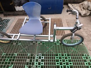 5113님의 포도 · 자유게시판 작성글 사진