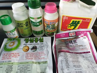 유영선님의 고추 · 영농일지 작성글 사진