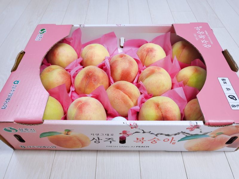 벌꿀농장♡권은주님의 장터 판매 상품 [햇딱딱이 백도복숭아 4kg*1박스(100박스 한정판매)] 첨부 사진