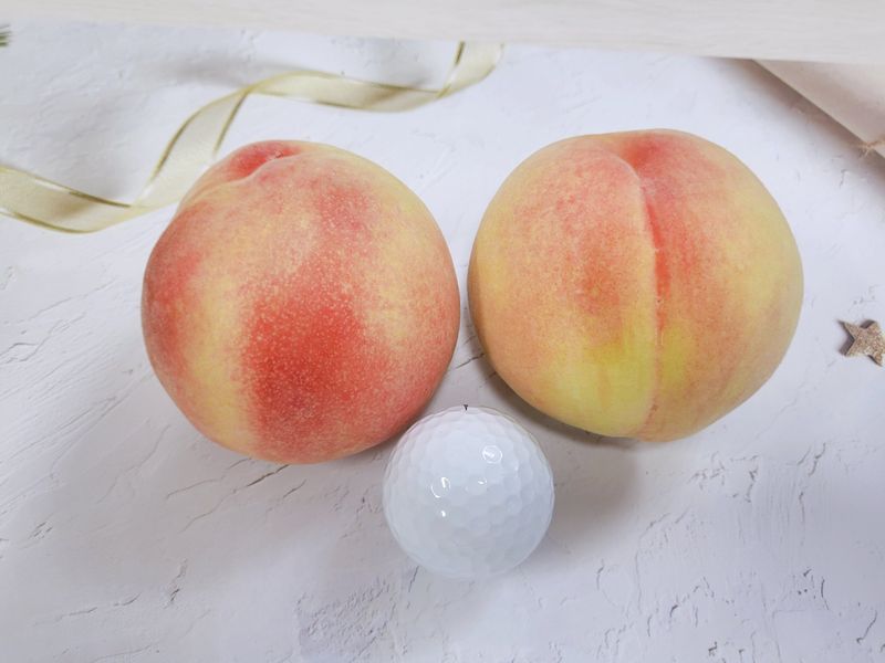 벌꿀농장♡권은주님의 장터 판매 상품 [햇딱딱이 백도복숭아 4kg*1박스(100박스 한정판매)] 첨부 사진