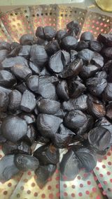 팜모닝 자유주제·자유게시판 게시글 이미지