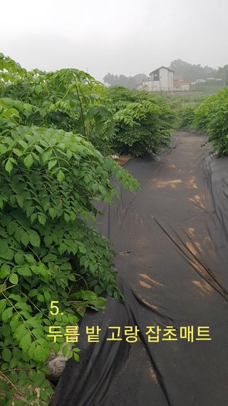 박지우님의 내 농사 경력 자랑하기 · 참여 작성글 사진