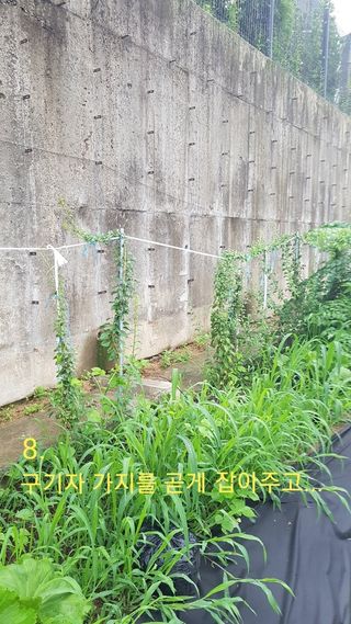 박지우님의 내 농사 경력 자랑하기 · 참여 작성글 사진