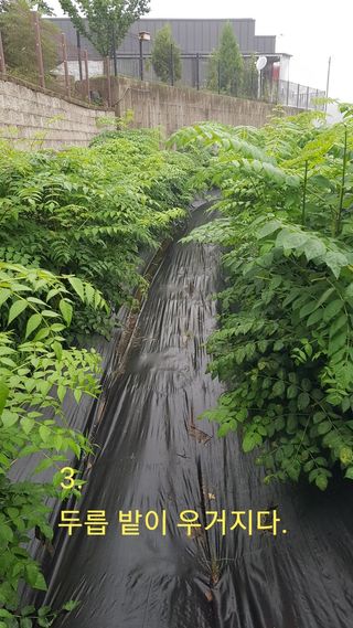 박지우님의 내 농사 경력 자랑하기 · 참여 작성글 사진