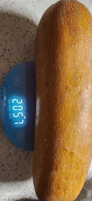 접시꽃님의 내 농사 경력 자랑하기 · 참여 작성글 사진