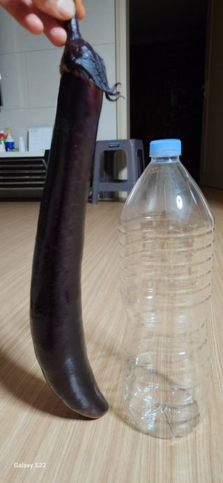 접시꽃님의 기타작물 · 자유게시판 작성글 사진