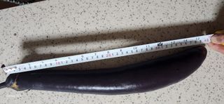 접시꽃님의 기타작물 · 자유게시판 작성글 사진