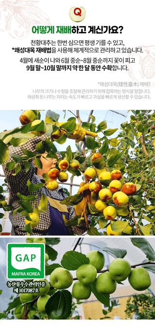 오학봉(멀티팜)님의 내 농사 경력 자랑하기 · 참여 작성글 사진