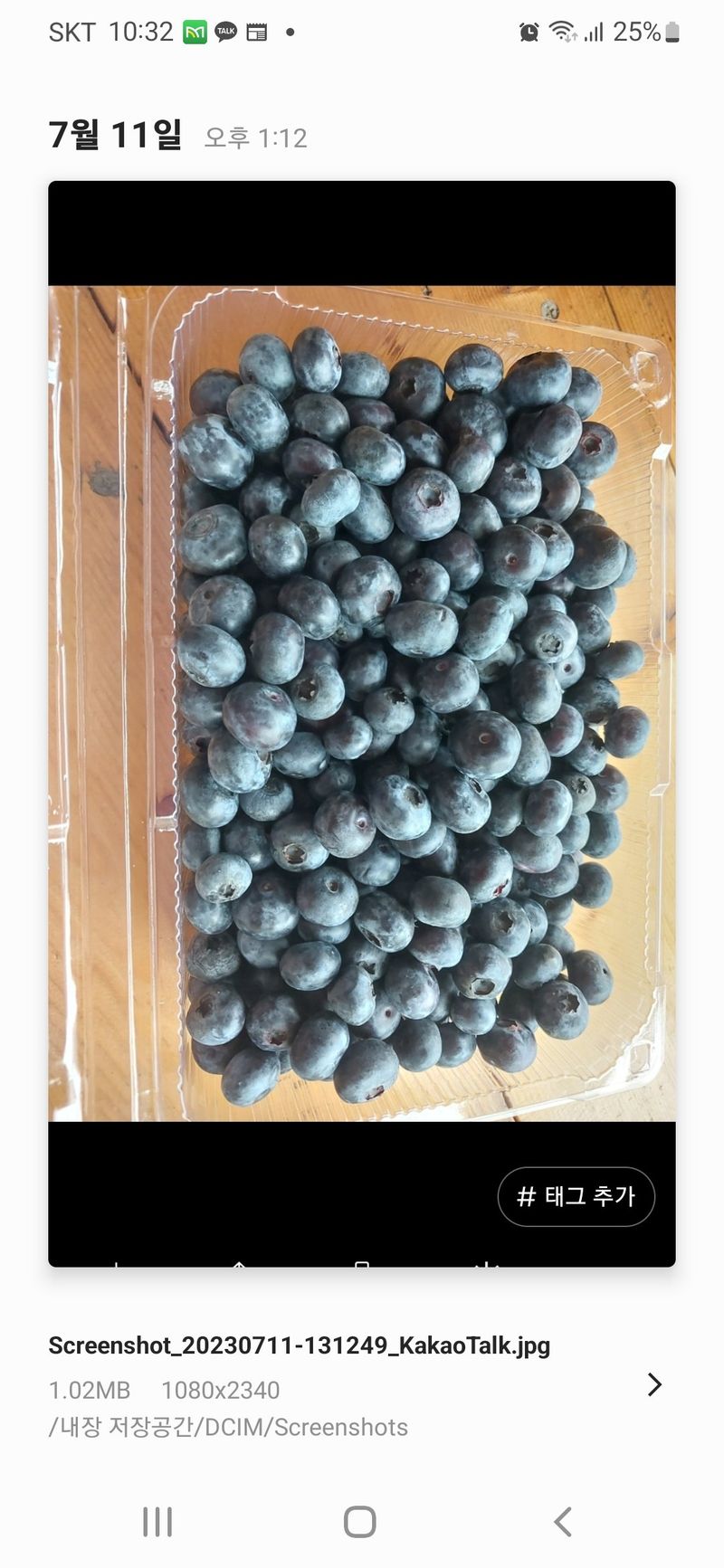 장터 상품 [블루베리] 썸네일