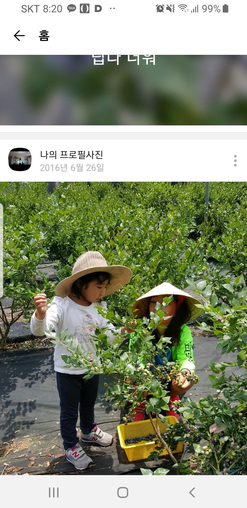 강태숙님의 장터 판매 상품 [블루베리] 첨부 사진