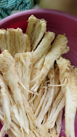 천종현님의 기타작물 · 병해충상담 작성글 사진