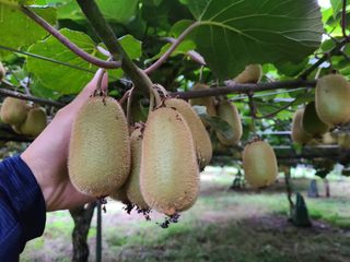 노고단님의 기타작물 · 자유게시판 작성글 사진