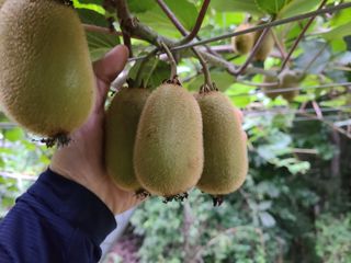 노고단님의 기타작물 · 자유게시판 작성글 사진