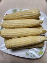 팜모닝 자유주제·자유게시판 게시글 이미지