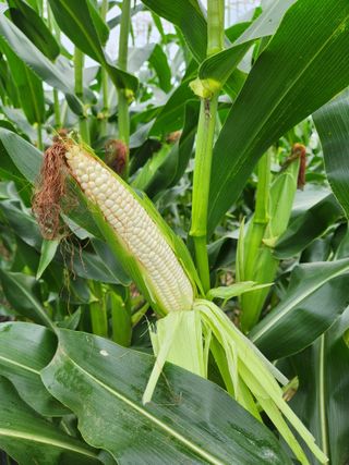 약도라지6018님의 자유주제 · 자유게시판 작성글 사진