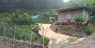 장만월님의 자유주제 · 자유게시판 작성글 사진