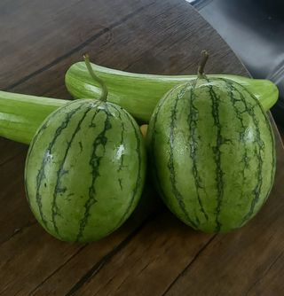 장만월님의 자유주제 · 자유게시판 작성글 사진