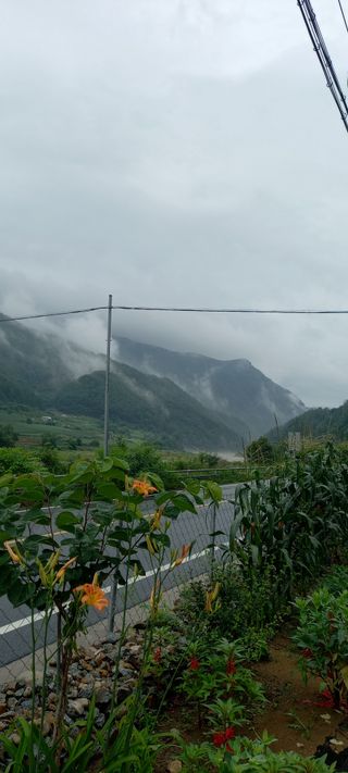 장만월님의 자유주제 · 자유게시판 작성글 사진