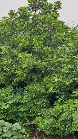 이종춘님의 자유주제 · 자유게시판 작성글 사진