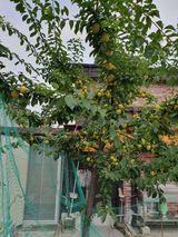 팜모닝 자유주제·자유게시판 게시글 이미지